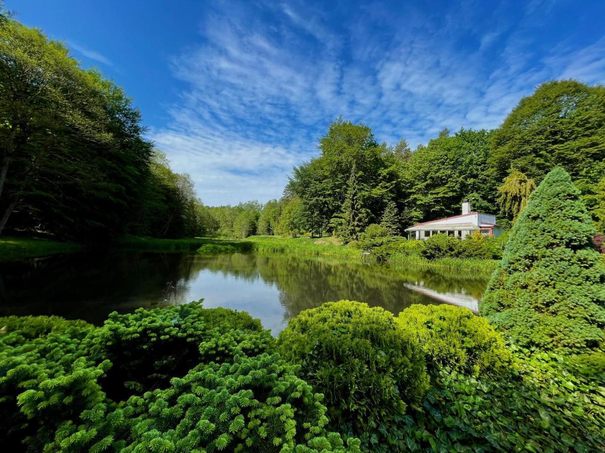 Domek W Glebi Lasu Nad Stawem Wierszyno Exterior foto