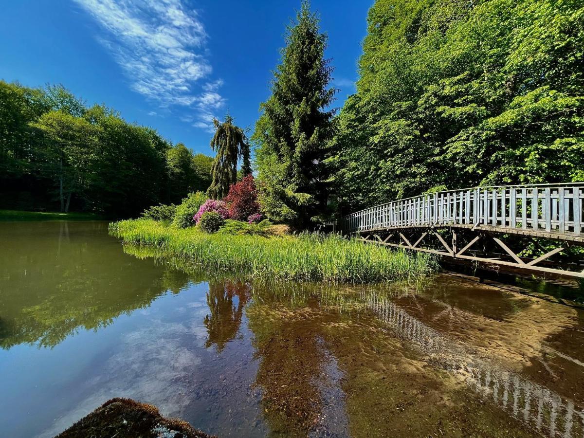 Domek W Glebi Lasu Nad Stawem Wierszyno Exterior foto